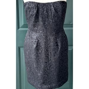 J. Crew Sz 10 Black Lace Strapless Sparkle LBD Event Cocktail Whimsigoth Goth
